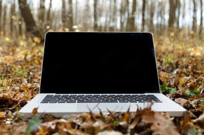 2 Quick Ways to Find the Serial Number of a Mac or MacBook