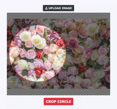 How to Crop a Picture into Circle Shape Using imageonline.co