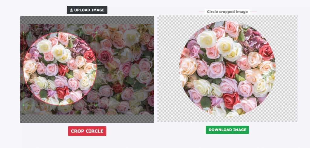 How to Crop a Picture into Circle Shape Using imageonline.co