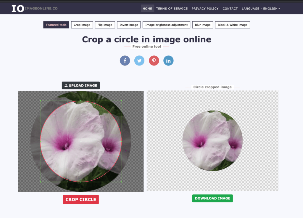 How to crop