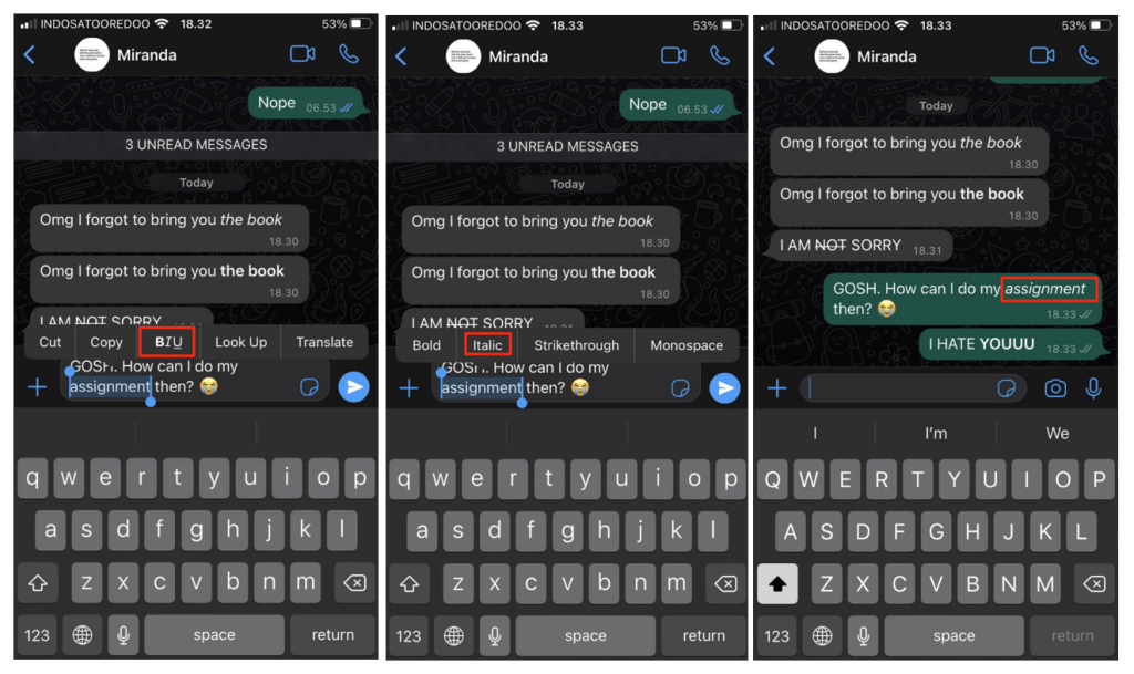 How to Change Text Format on WhatsApp without Code