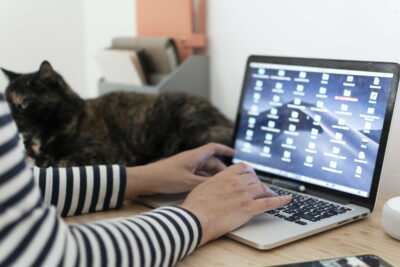 a woman types on a MacBook on a desk in a light home office. A tortoiseshell cat sits next to her