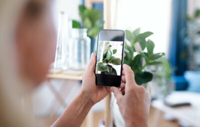 Unrecognizable woman with smartphone indoors, taking photograph of plant