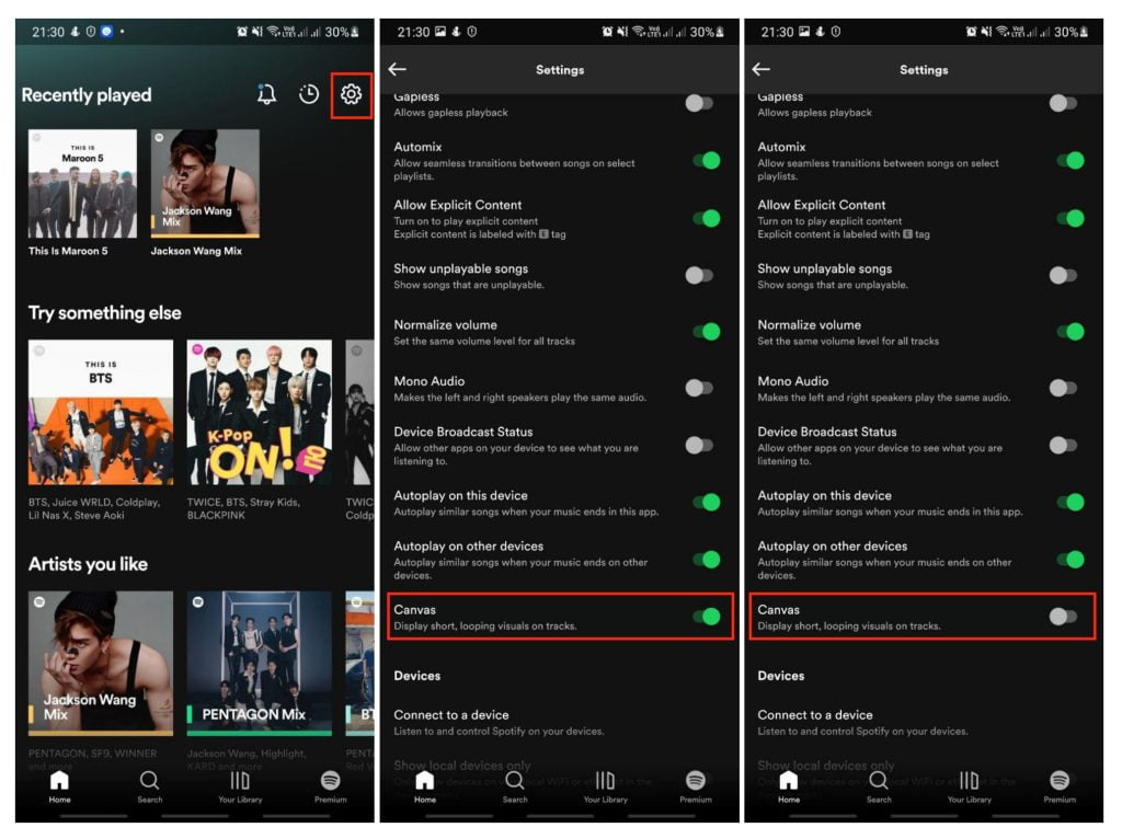 How To Enable or Disable Canvas Display in Spotify