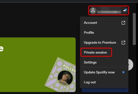 How to Use Spotify Private Mode via Desktop