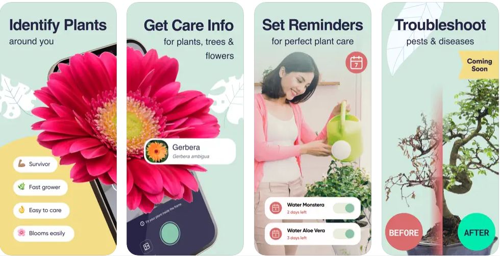5 Apps For Identify Plants On iOS 2