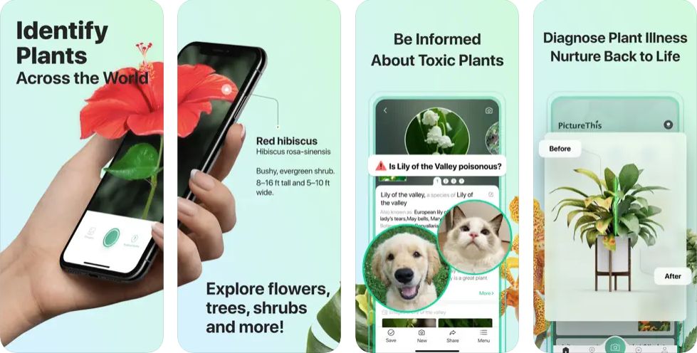 5 Apps For Identify Plants On iOS 3