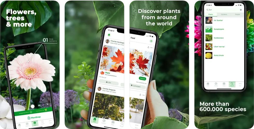 5 Apps For Identify Plants On iOS 4