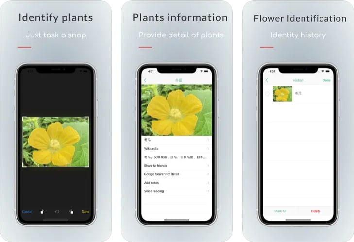 5 Apps For Identify Plants On iOS 5