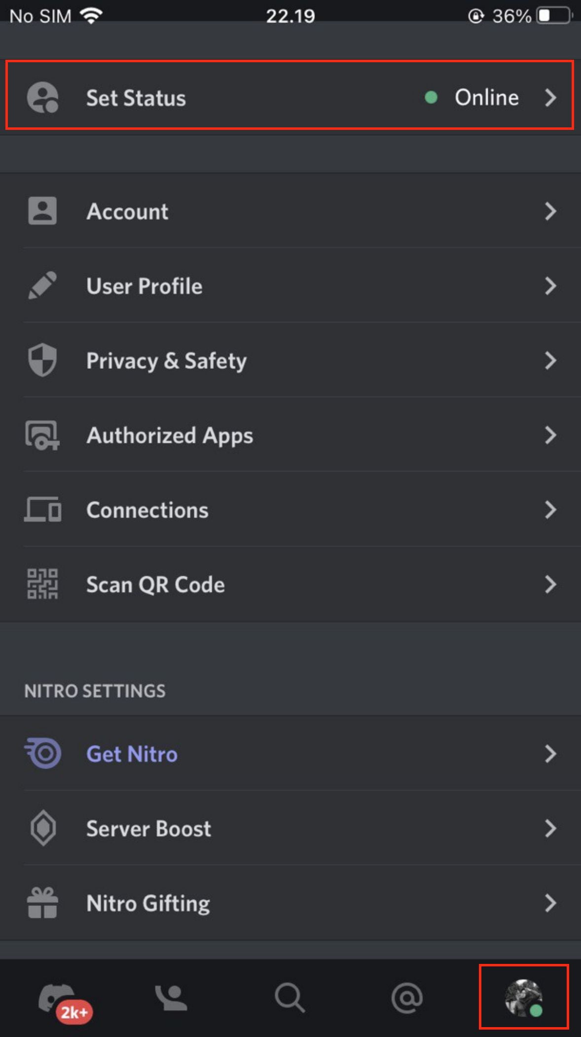 How to Change Your Discord Status on iOS from Discord Mobile App