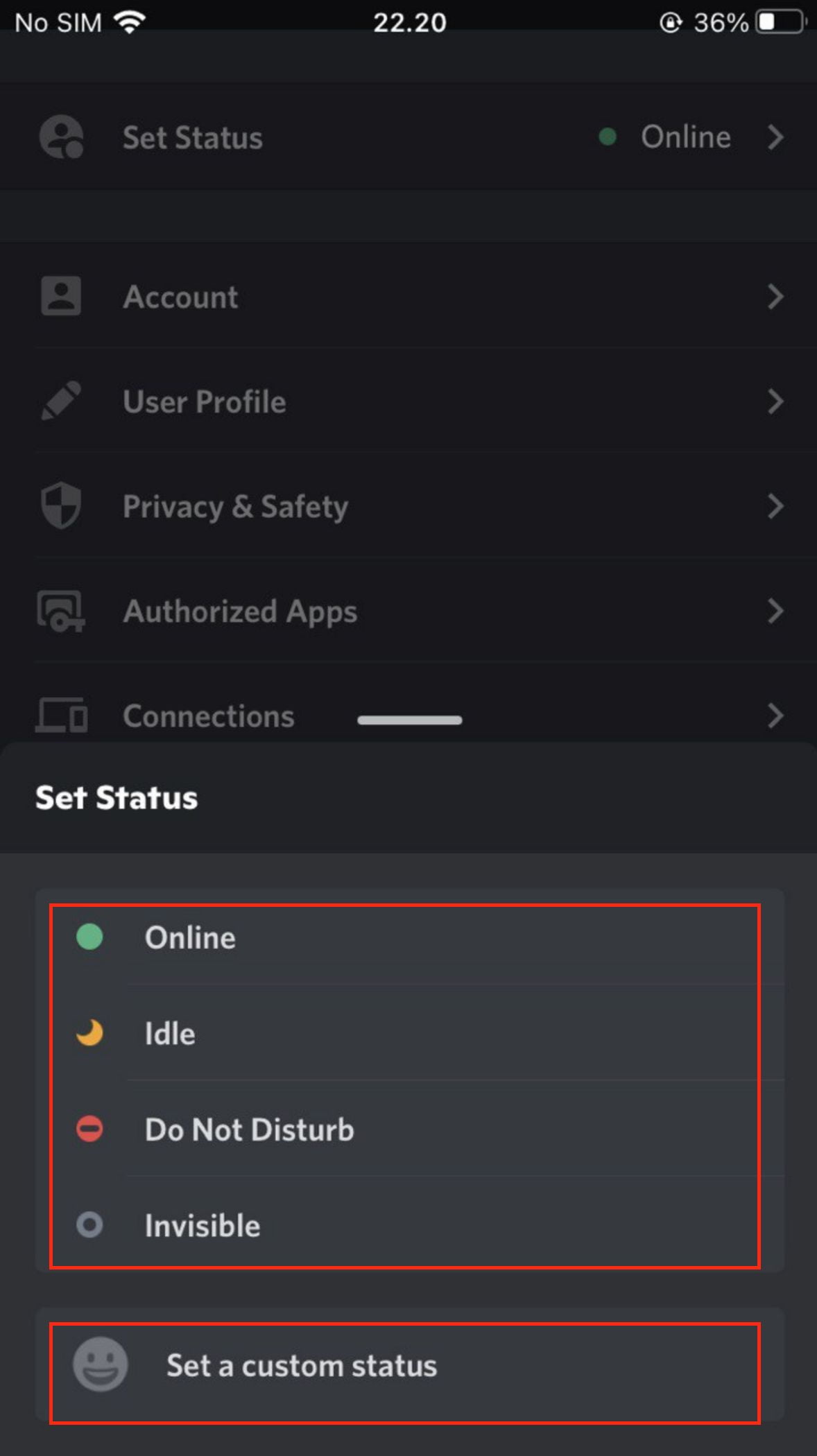 How to Change Your Discord Status on iOS from Discord Mobile App