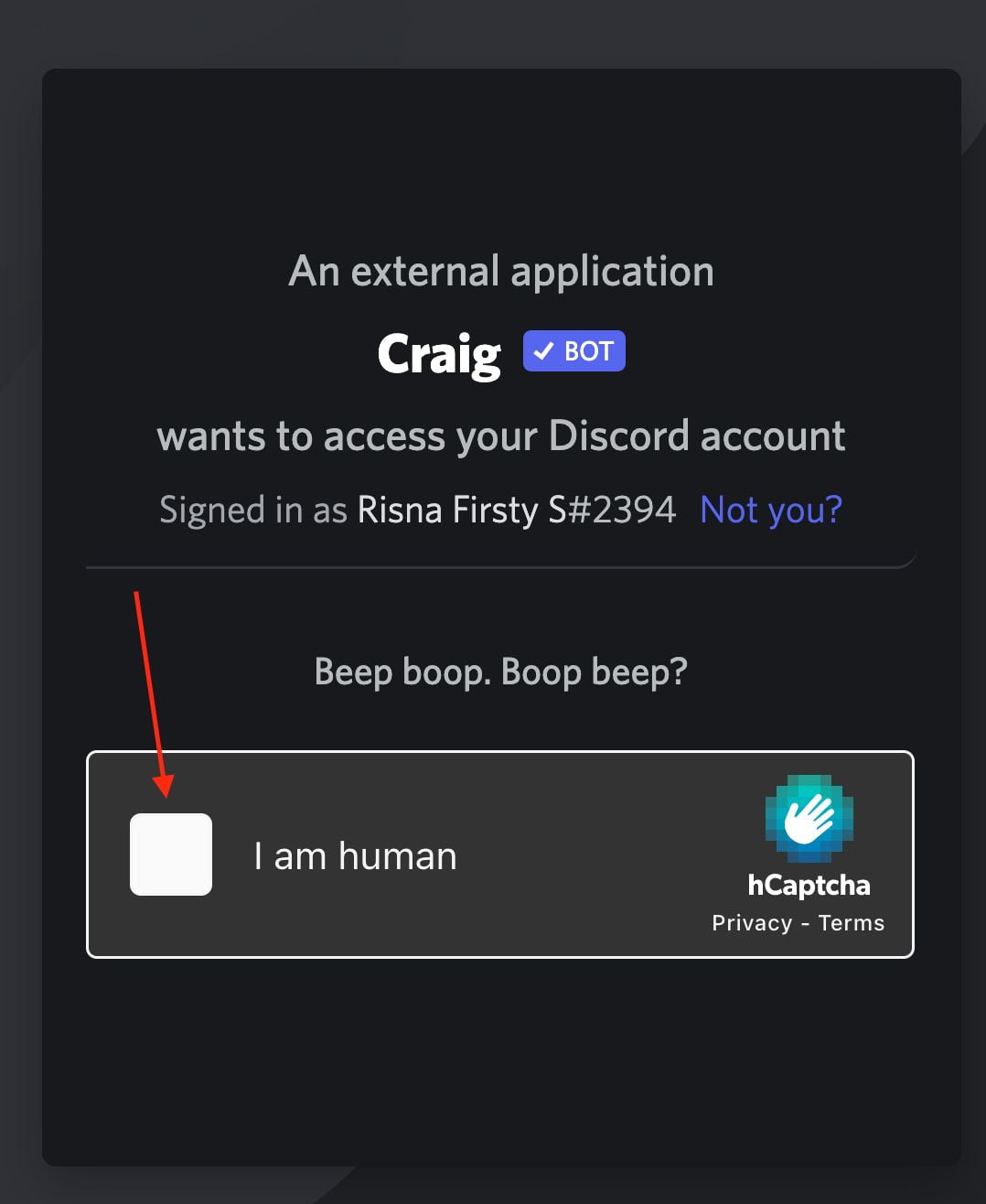 How to Record Any Discord Audio Activity