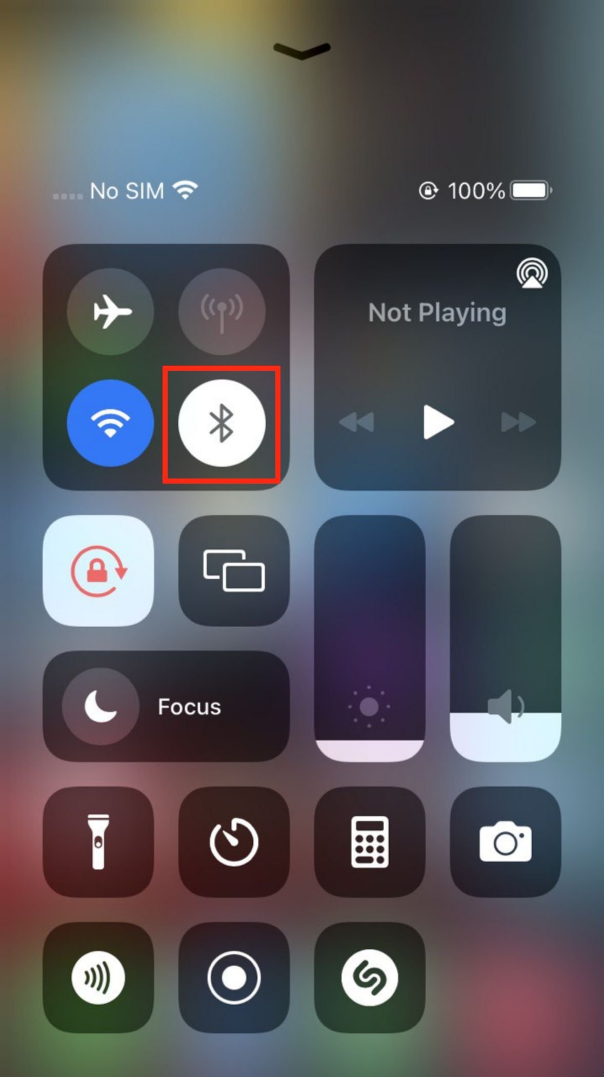 Check iPhone Sound Settings