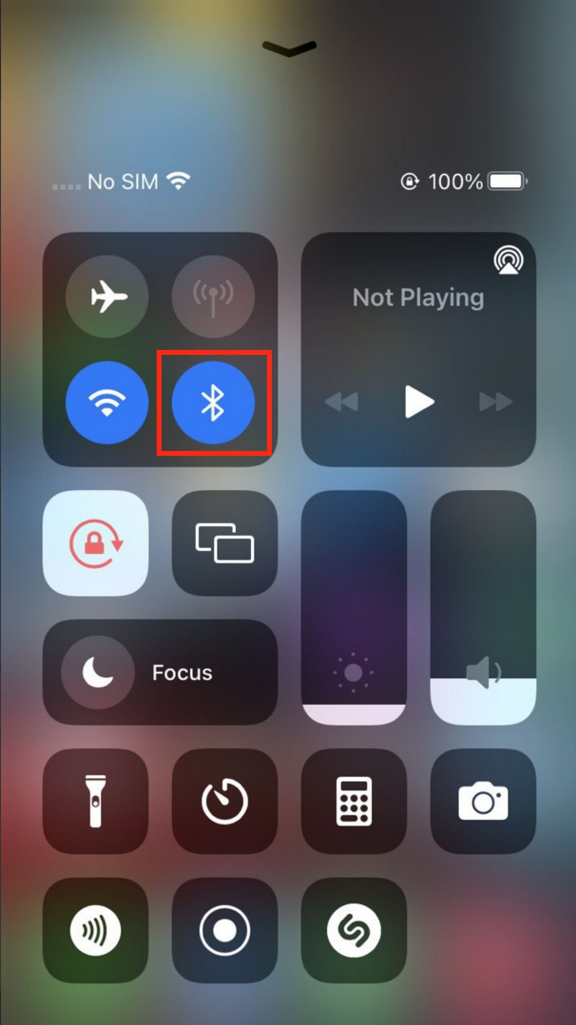 Check iPhone Sound Settings