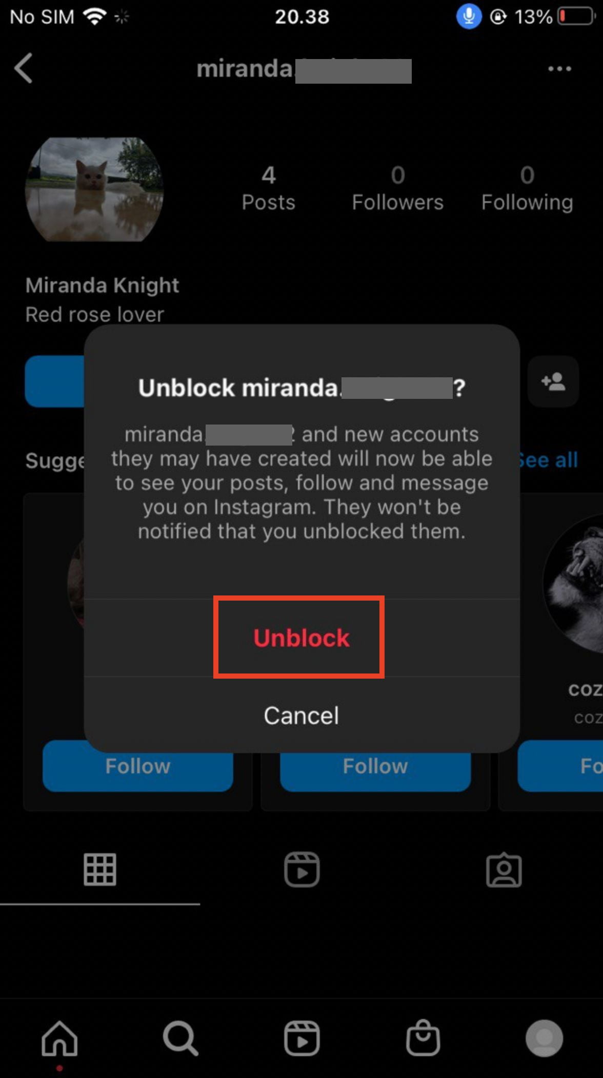 How to Unblock Someone Profile on Instagram