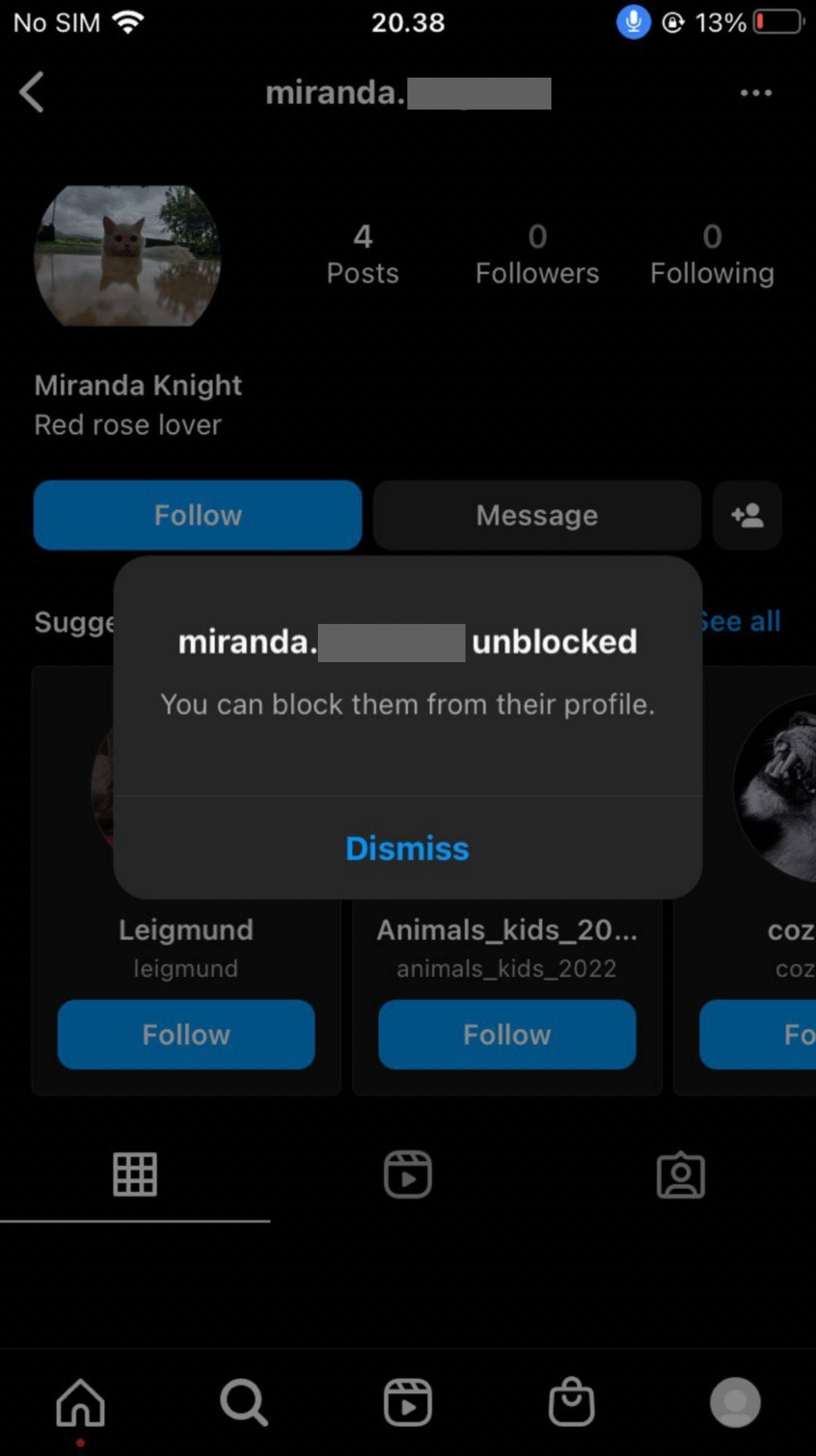 How to Unblock Someone Profile on Instagram