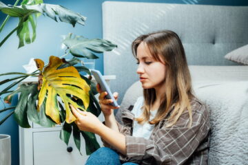 Young woman taking picture on phone of dried, sunburn leaf of potted plant. Houseplants diseases